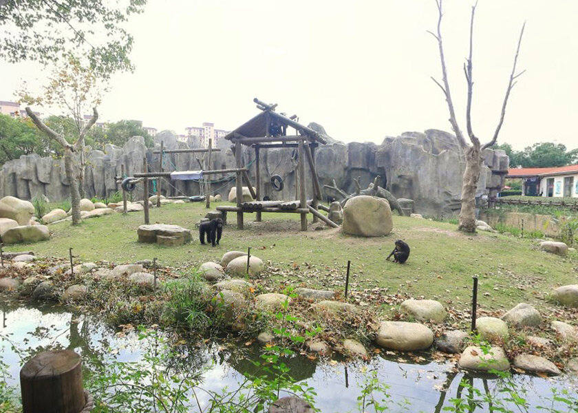 上海野生动物园-欢迎来访! 上海野生动物园