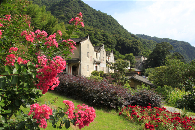 雁南飞茶田景区-欢迎来访! 雁南飞茶田景区