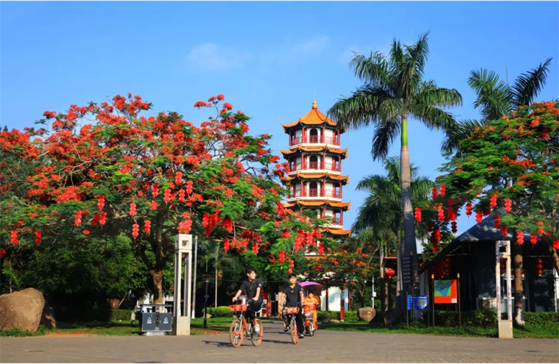深圳龙岗龙园公园