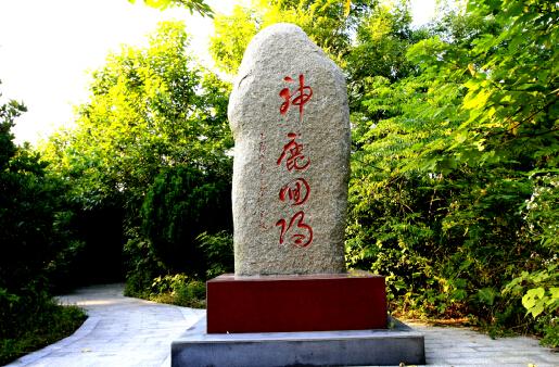 中华麋鹿园-欢迎来访! 中华麋鹿园