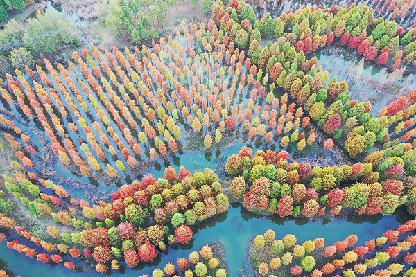 泗洪洪泽湖湿地