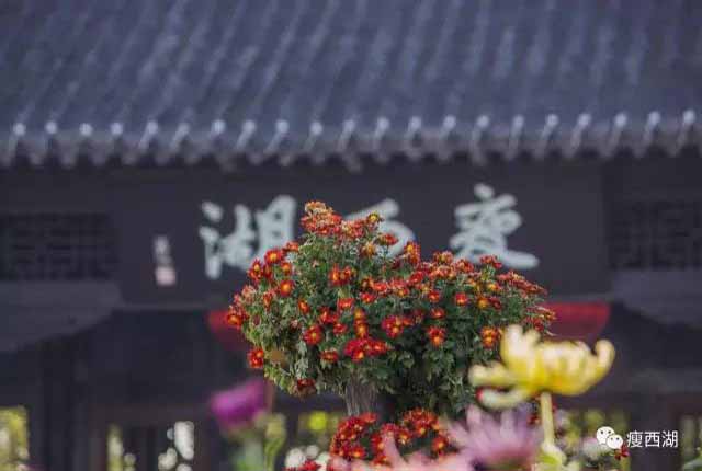 瘦西湖