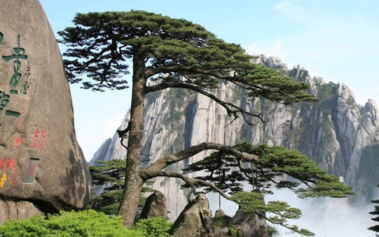 黄山风景区-欢迎来访! 黄山风景区