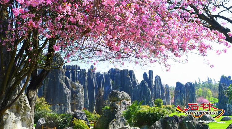 昆明石林风景区